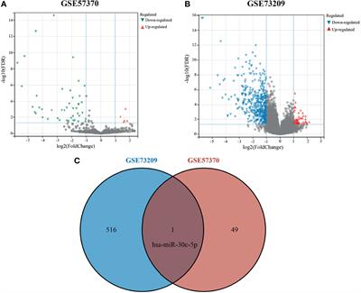 Identification of a 12-Gene Signature and Hub Genes Involved in Kidney Wilms Tumor via Integrated Bioinformatics Analysis